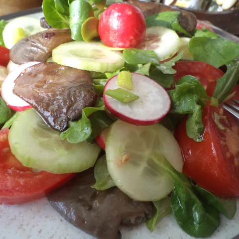 Salata s pečenim bukovačama