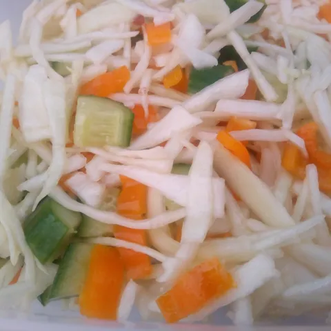 Šarena kupus salata