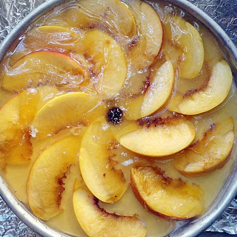 Cool Peacheese Cake