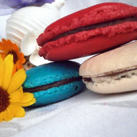 PETOBOJ: Fen-MACARONSI