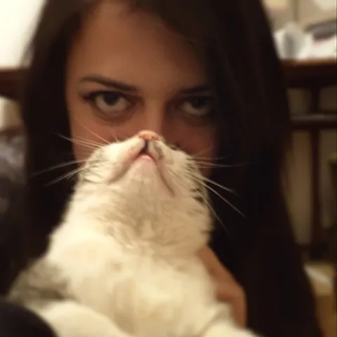 crazy-cat-lady