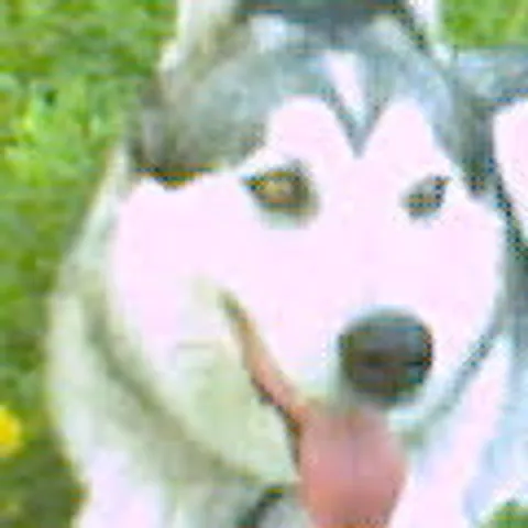 Alka