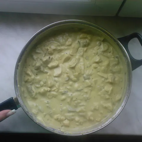 Stroganoff na moj način