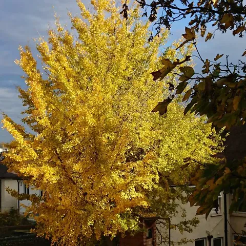 Pogled s mog prozora
