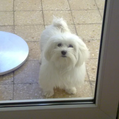izzy023