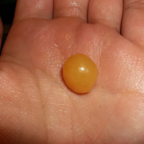 test za karamel… kuglica mora biti mehka ali dovoljo cvrsta da se nerazljeva