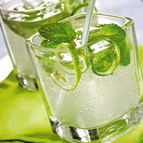 Mojito