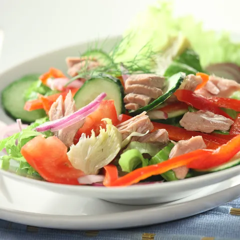 Povrtna salata s tunom