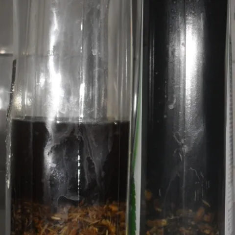 SOS recept za opadanje kose-šampon