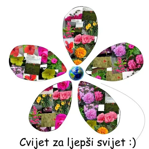 Cvjetna zbirka