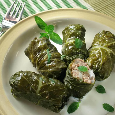 Hercegovački japrak