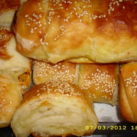Salenjaci