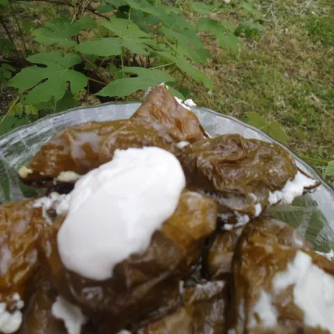 japrak sarmice od sira
