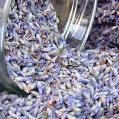 Lavanda nam priča priču
