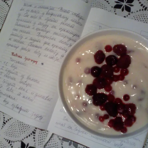 VOCNI JOGURT
