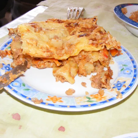 Lazanje a la Reciklaza rucka od juce