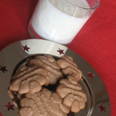 Čokoladni keksi