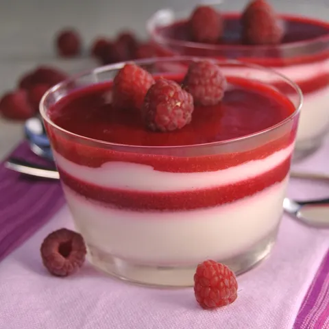 Panna cotta sa želeom od malina