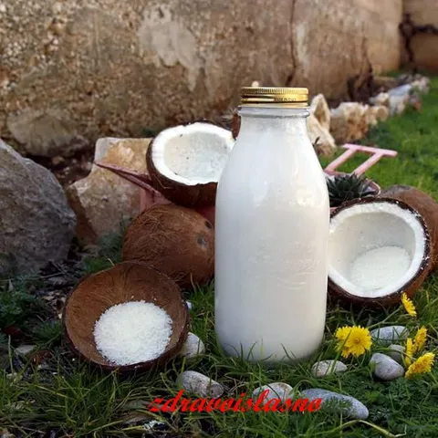 Domaće kokosovo mlijeko i brašno