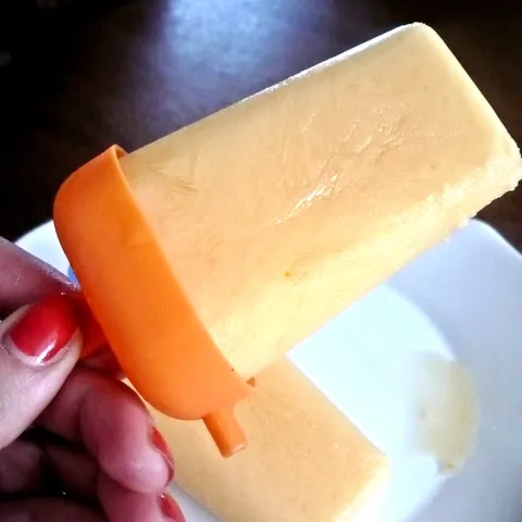Sladoled od naranče i jogurta :)