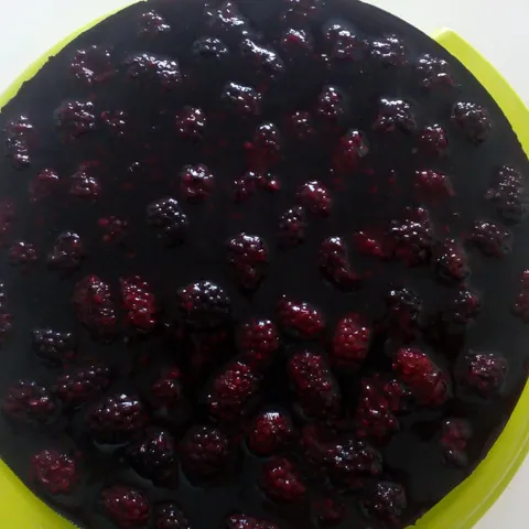 Cheesecake sa kupinama i gluten free petit beurre keksom
