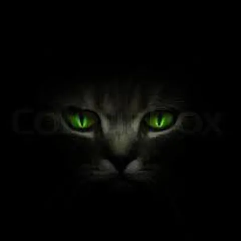 black-mistery
