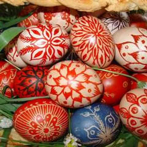 dragicalovcevic