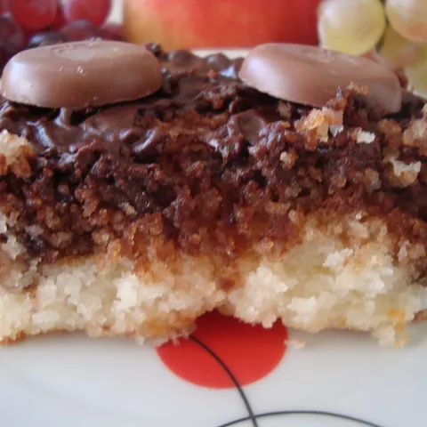 brze kocke s čokoladom i kokosom