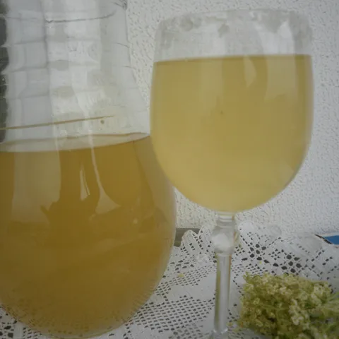 VINO OD BAZGE