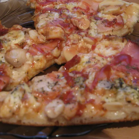 brza pica