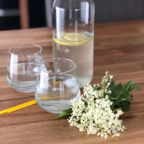 Sirup od bazge