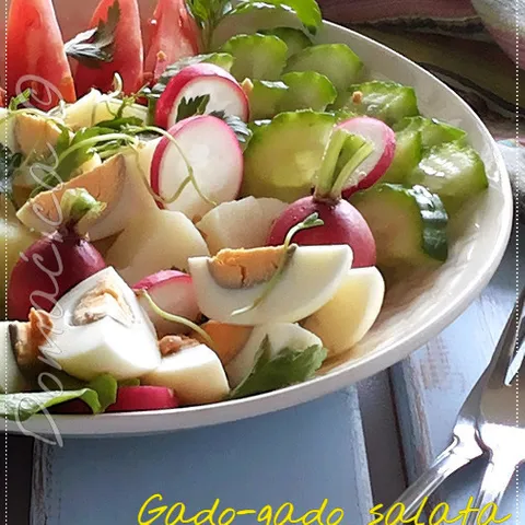 Gado-gado salata
