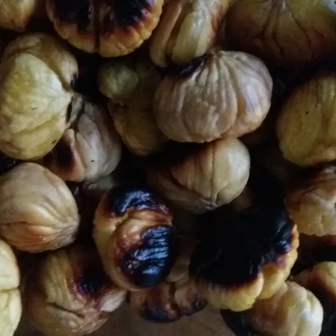 Peceni Kesteni