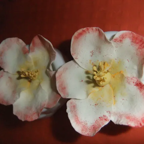 Šumske ruže od gum paste