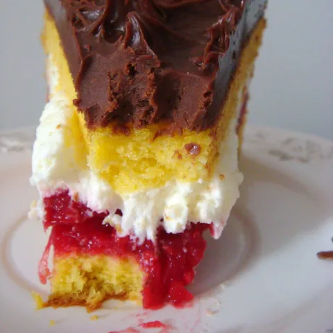 Cupava torta sa ribizlama