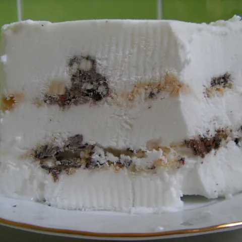 Brza vienetta