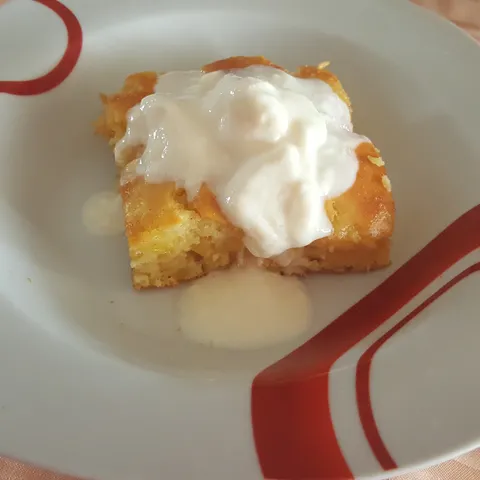 Zljevača sa kiselim mlijekom