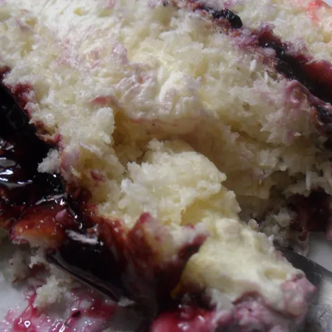 blueberry-kore sa kokosom bez jaja sa kremom od vanile
