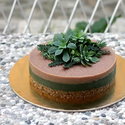 Sirova torta sa spirulinom