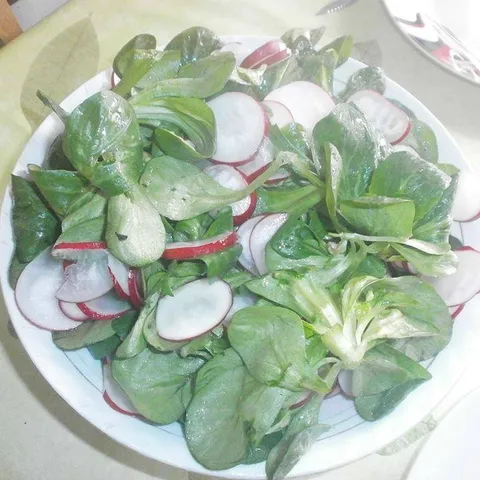 Matovilac salata