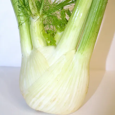 Komorač