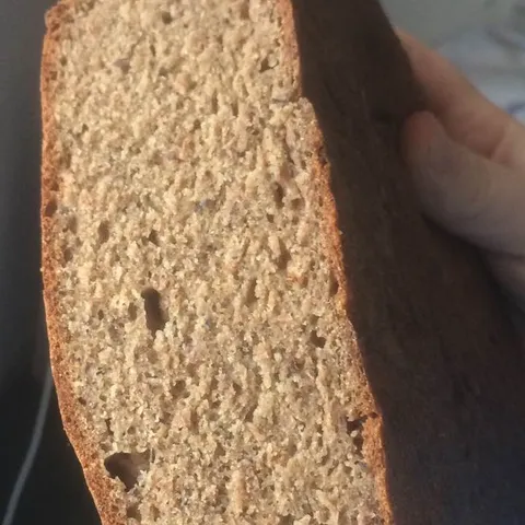 Integralni kruh