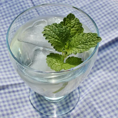 Sirup / sok od maticnjaka / citron melisse