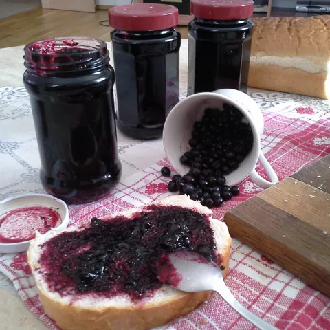 Džem / marmelada od borovnice