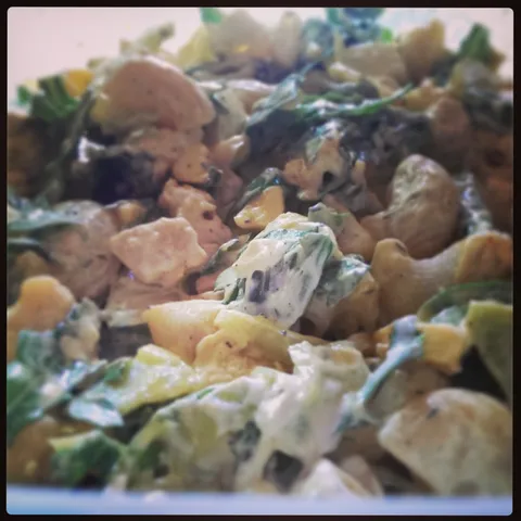 Hladna zelena pileća salata