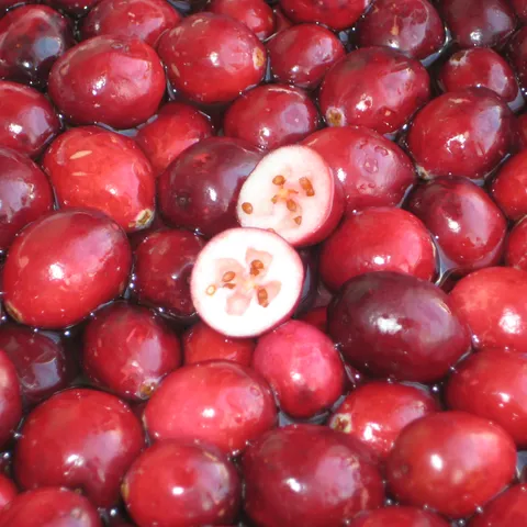 Djem od cranberry