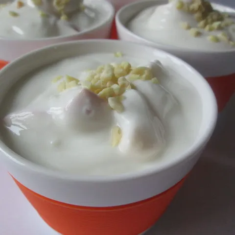 Vocni Jogurt