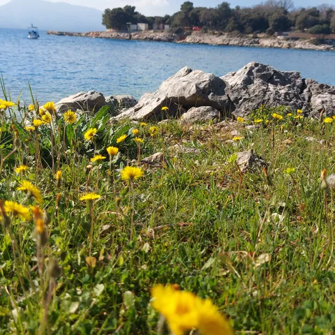 Luvaste