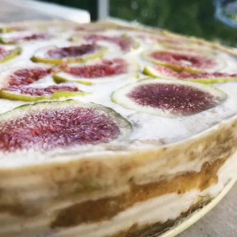 Sirova torta od smokava i kokosa