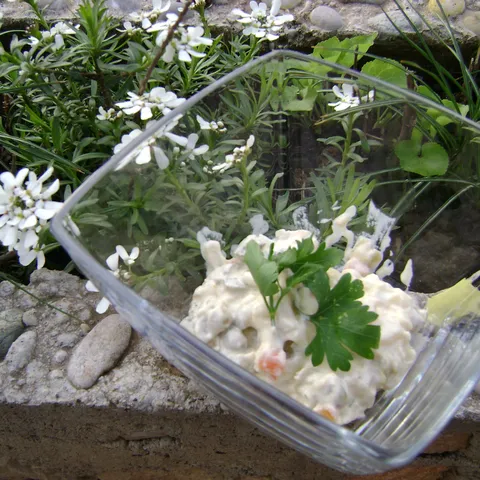 Francuska salata